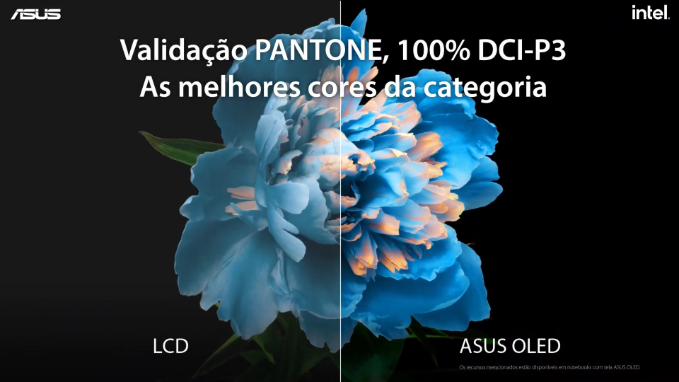 Zenbook OLED