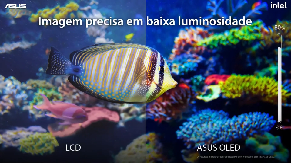 Zenbook OLED